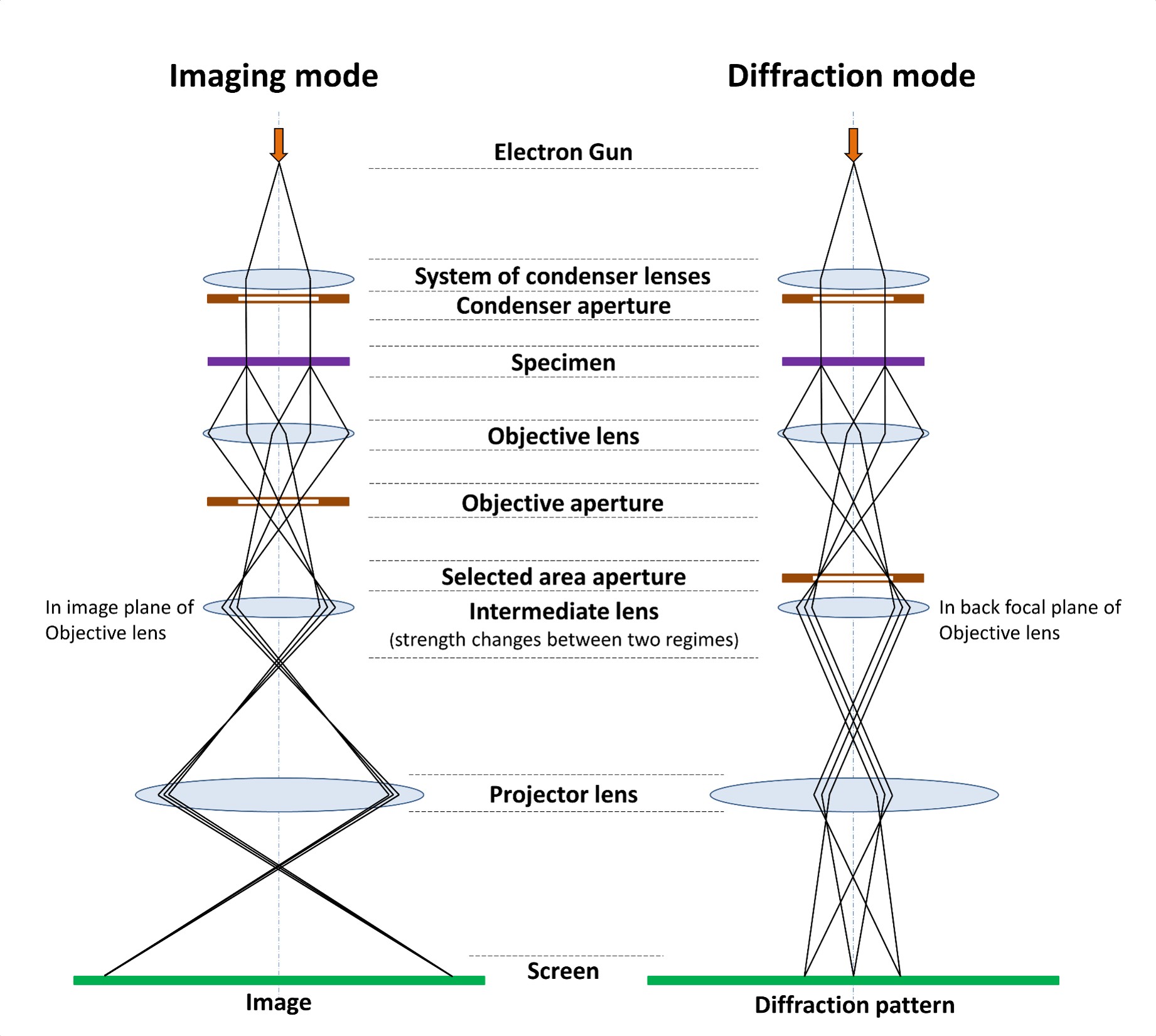 TEM 成像模式與繞射模式